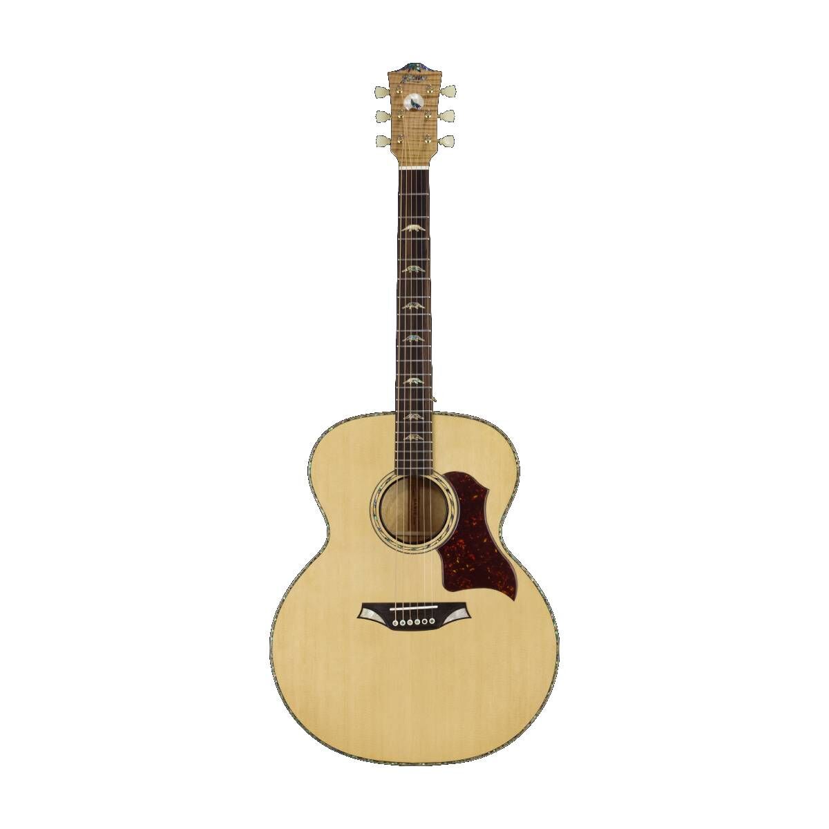 Bromo BAN7E Denali Series Jumbo Acoustic Guitar with Solid Wood and Pickup