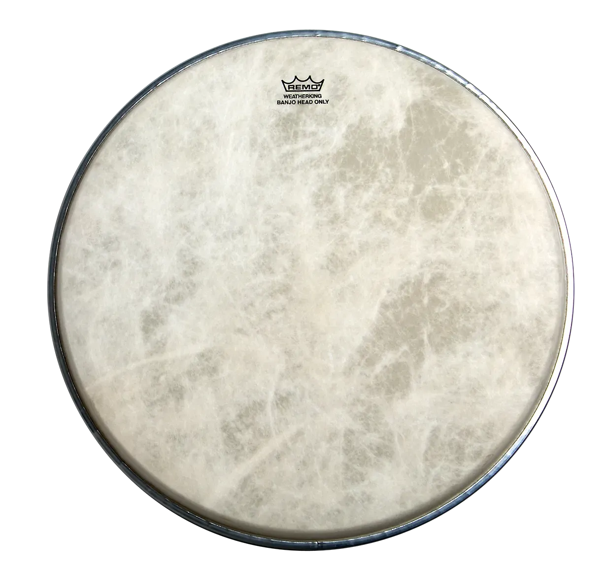 Remo 11 Inch Banjo Head Fiberskyn High Collar - Diplomat FS3