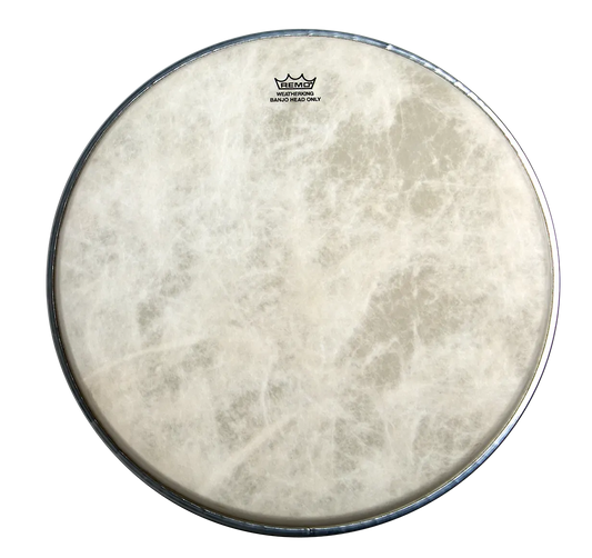 Remo 11 Inch Banjo Head Fiberskyn High Collar - Diplomat FS3
