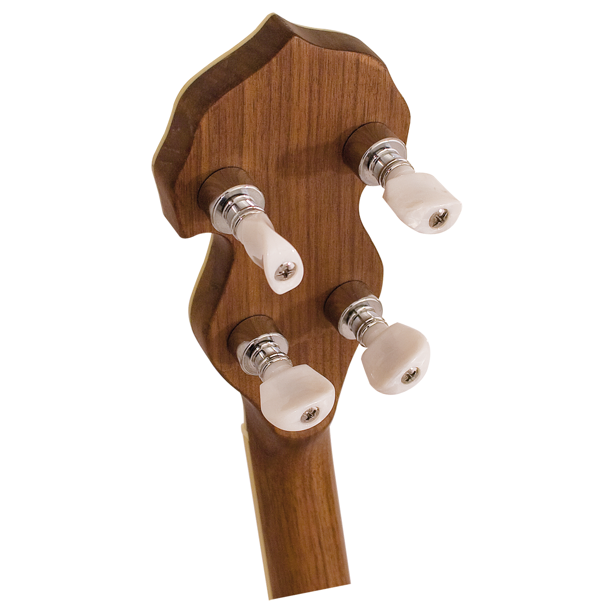 Barnes & Mullins BJ500BW Empress 5-String Banjo with Closed Back Burl Walnut Resonator and Geared Machine Heads — view 5