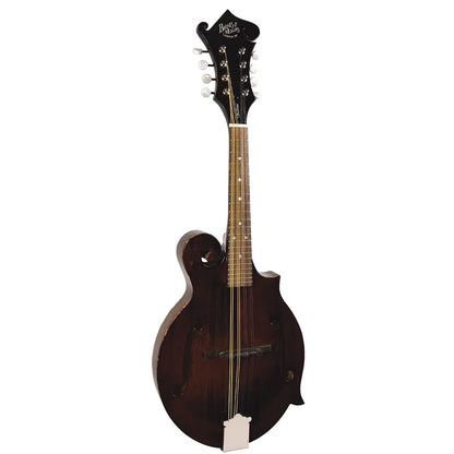 Barnes & Mullins BM650 Salvino F-Hole Mandolin