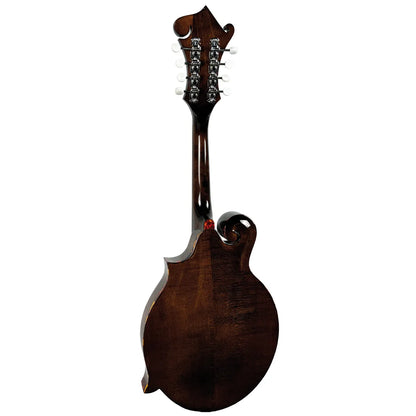 Barnes & Mullins BM650 Salvino F-Hole Mandolin — view 2