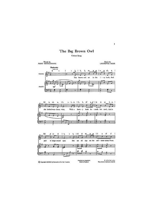 The Big Brown Owl Unison (Pod)
