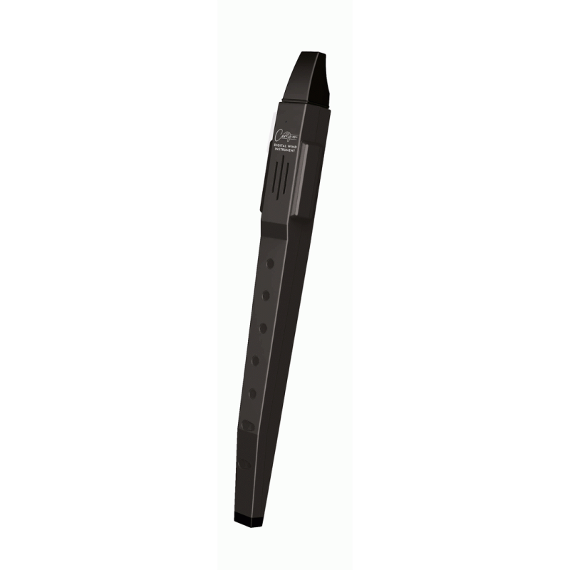 BLKSTAR Carry-On Digi Wind Instrument with MIDI Black