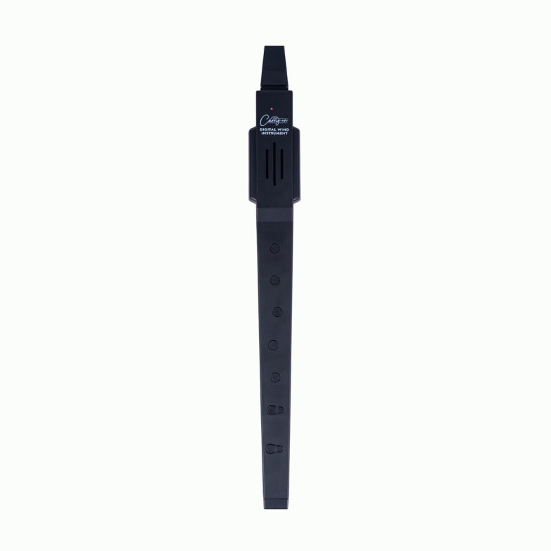 BLKSTAR Carry-On Digi Wind Instrument with MIDI Black — view 2
