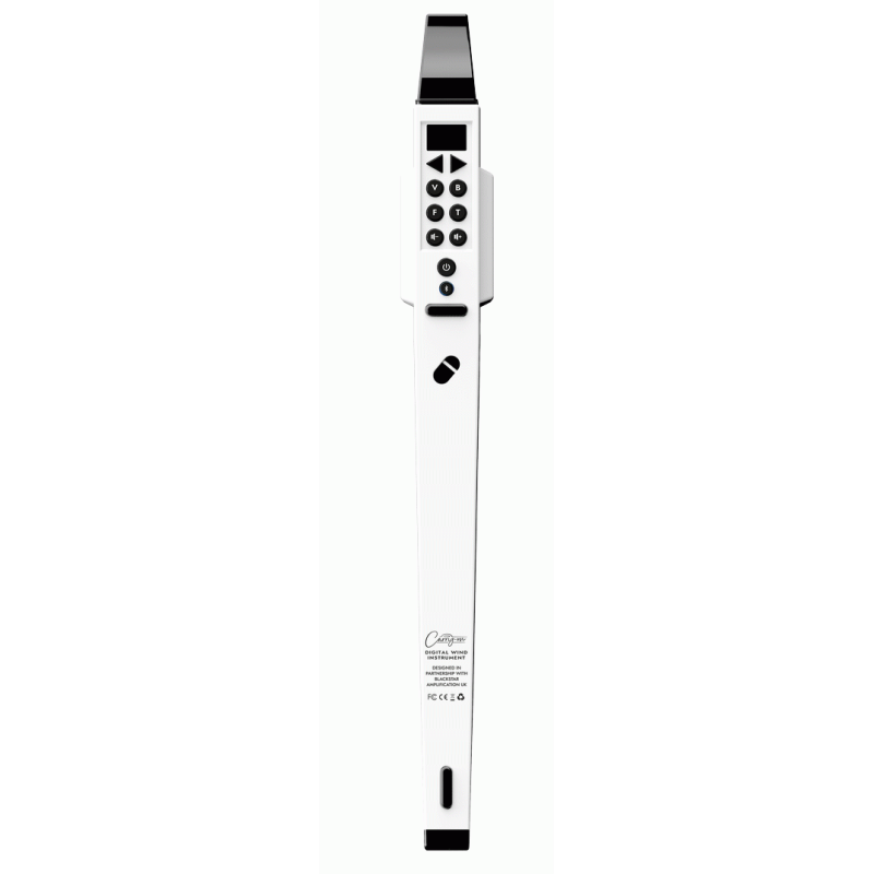 BLKSTAR Carry-On Digi Wind Instrument with MIDI White