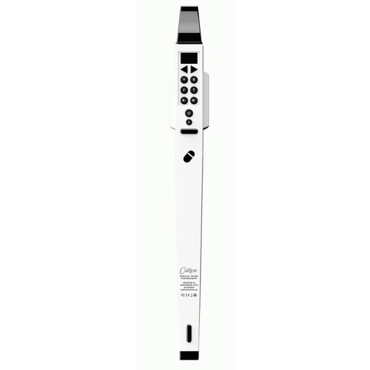 BLKSTAR Carry-On Digi Wind Instrument with MIDI White