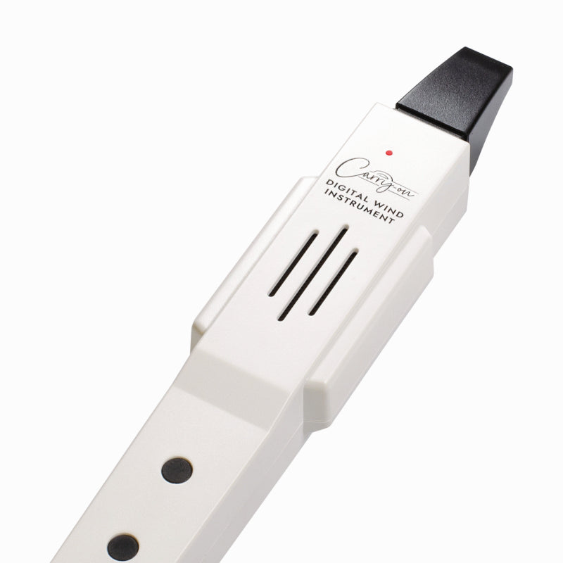 BLKSTAR Carry-On Digi Wind Instrument with MIDI White — view 4