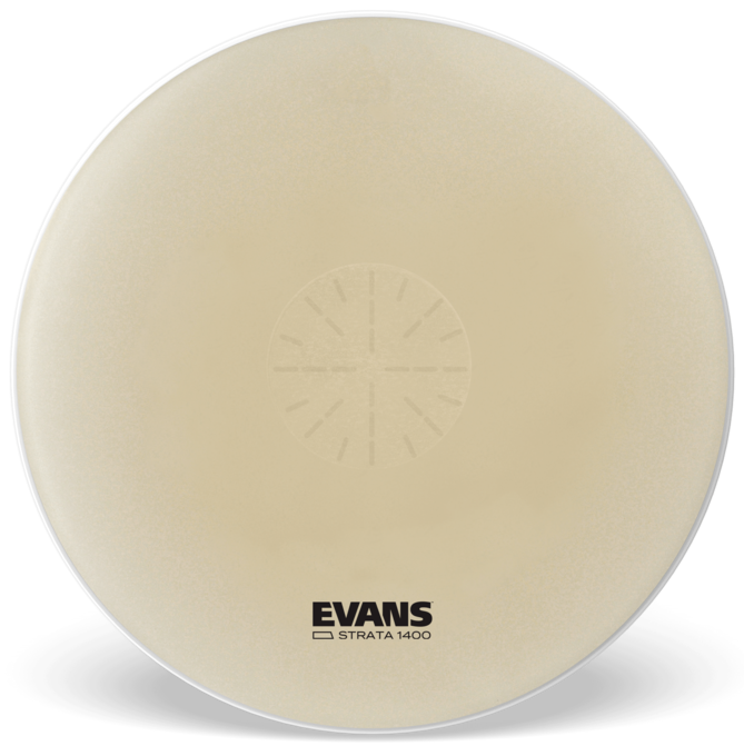 Evans 36 Inch Bass Drum Head Power Center Dot
