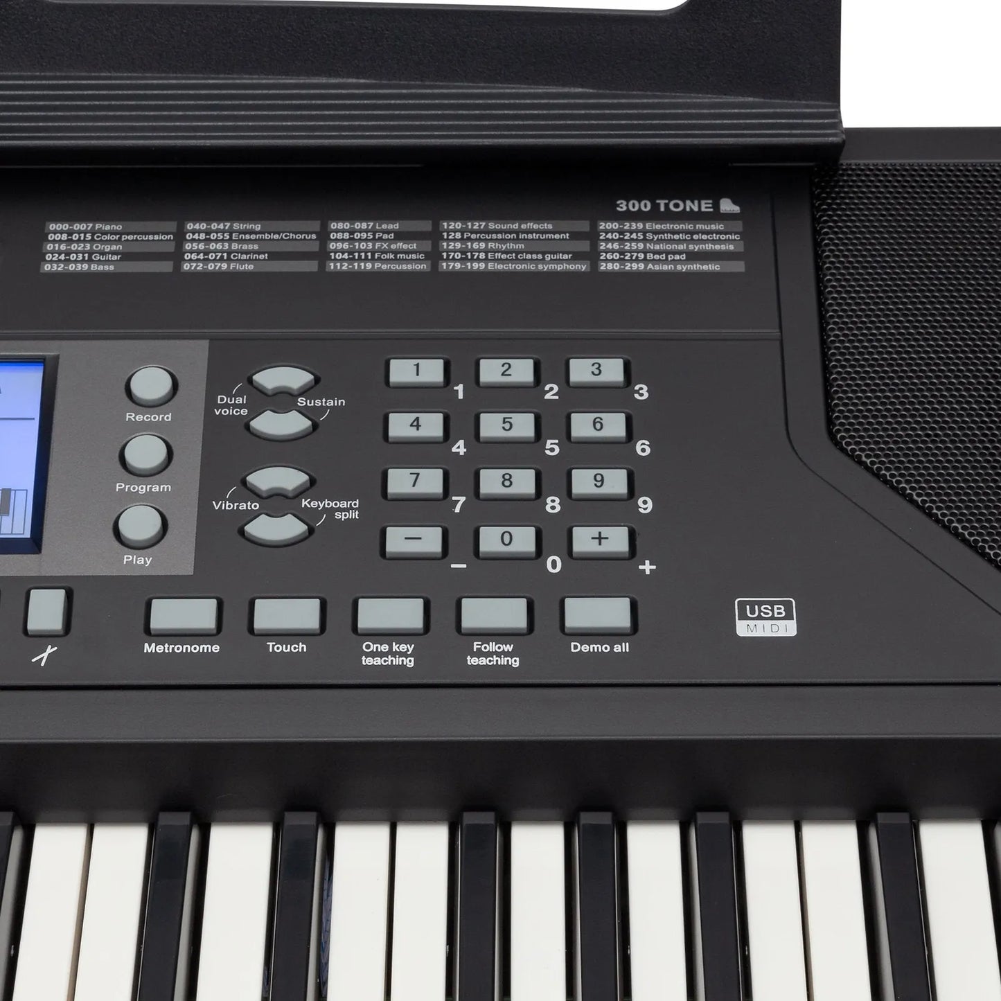 Crown CK-86 Touch Sensitive 61-Key Portable Keyboard with USB, LCD Display, 300 Voices, 300 Rhythms, Teaching Functions, Power Adapter Included — view 4