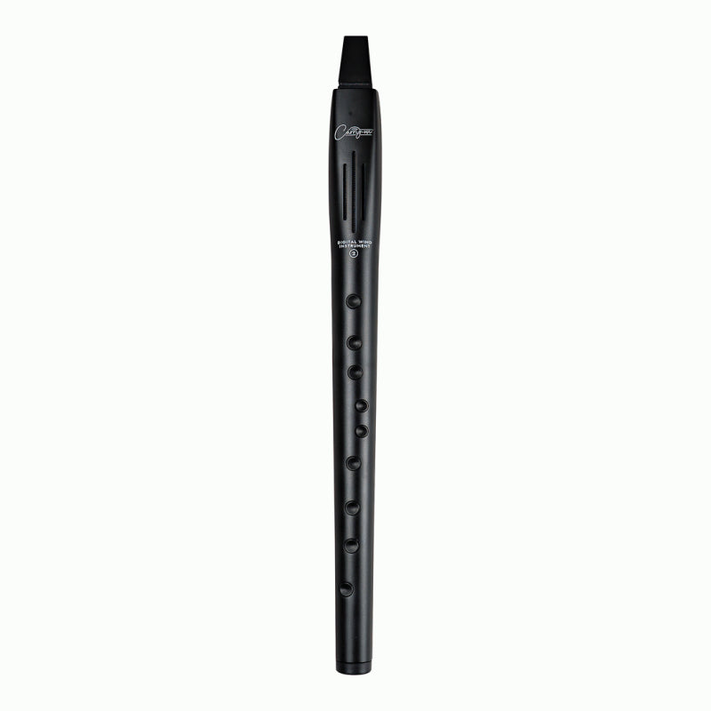 Carry-On Digital Wind Instrument 2 - Black with 10 Voices, Breath Sensitivity, Adjustable Reverb Effect — view 3