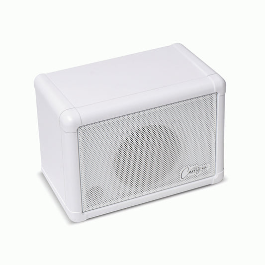 Carry On Mini Extension Speaker for FLY-103 - 6 Watt Stereo Setup with Full Range Linear Speaker