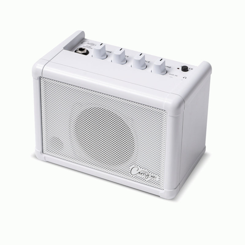 Carry On Mini Speaker - Lightweight, Portable, Battery or DC Powered — view 2