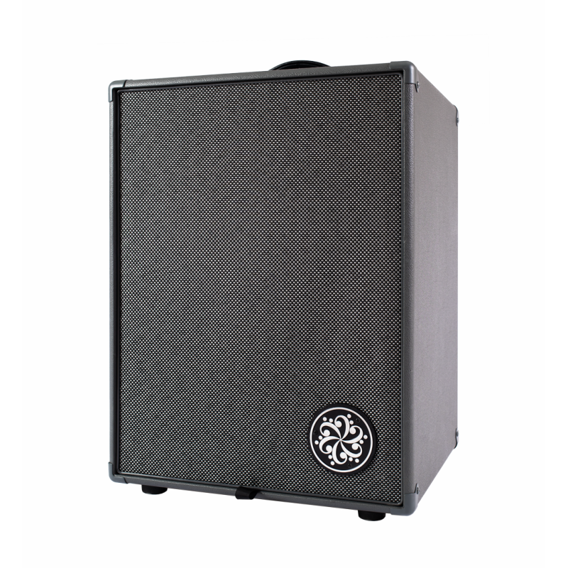 Darkglass Infinity 500 Watt Bass Combo 2x10 with Digital Features — view 2