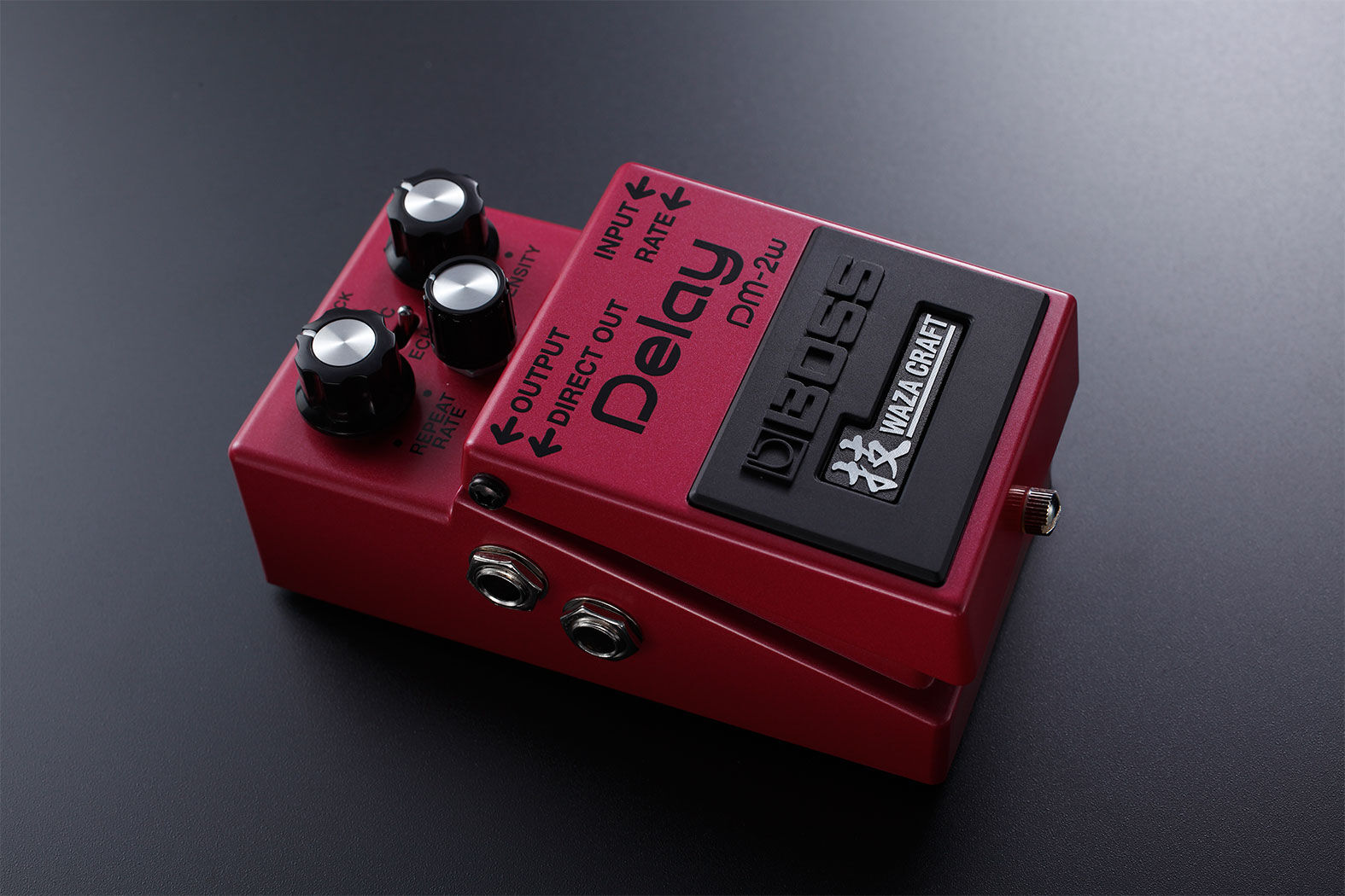 BOSS DM-2W Waza Craft Analog Delay Pedal - Classic Bucket Brigade Tone with Switchable Modes — view 4