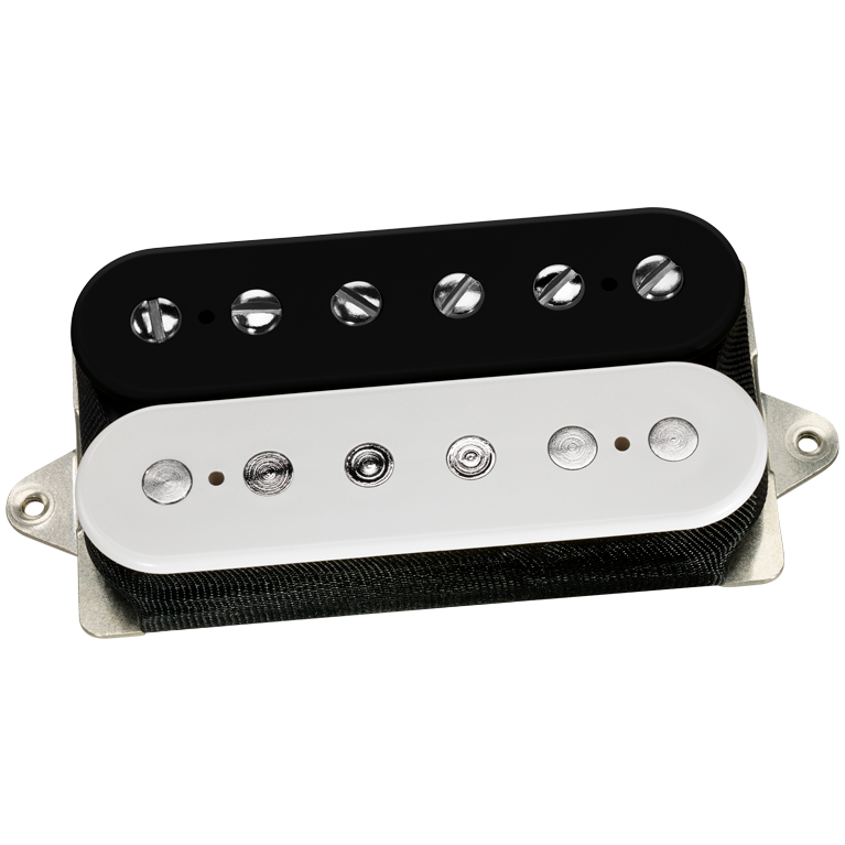 DP254B