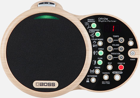 BOSS DR-01S Rhythm Partner - Acoustic Percussionist with Organic Sounds & Versatile Grooves
