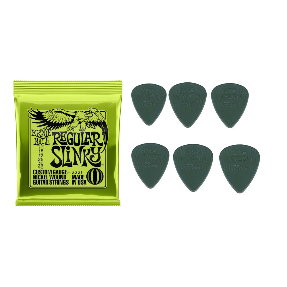 Ernie Ball Regular Slinky + Dunlop .73 Grey Picks x6 Players Pack