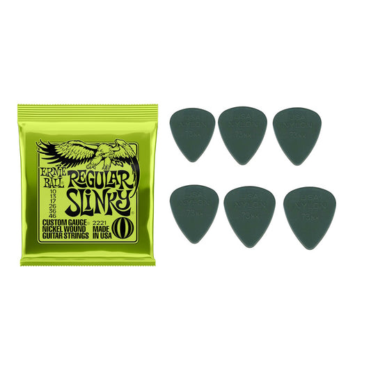 Ernie Ball Regular Slinky + Dunlop .73 Grey Picks x6 Players Pack