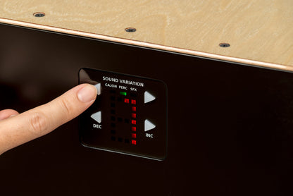 ROLAND EC-10 ELCajon - Electronic Layered Cajon with Built-in Sounds for Enhanced Performance — view 5