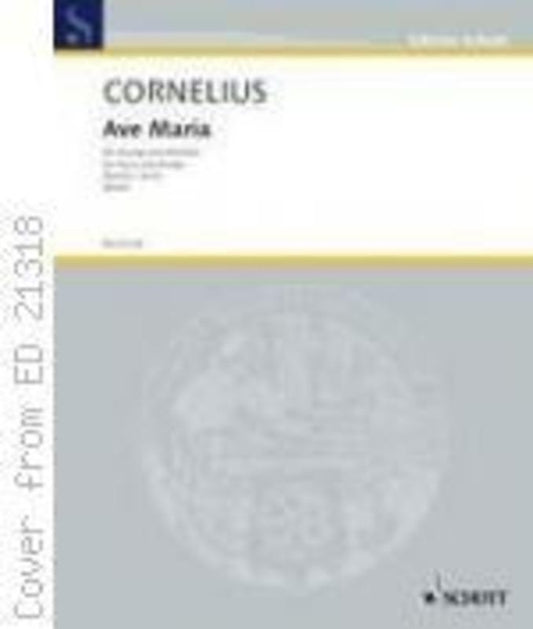 Ave Maria Arr Birtel Voice And Strings Violin 2 Par Book