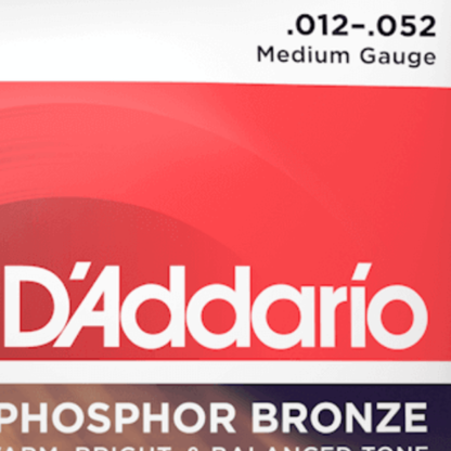 D'Addario Phosphor Bronze Acoustic Guitar Strings 12-52 Medium 12-String Set EJ39 — view 4