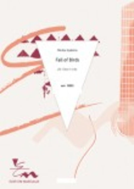 Fall Of Birds Guitar Solo Book