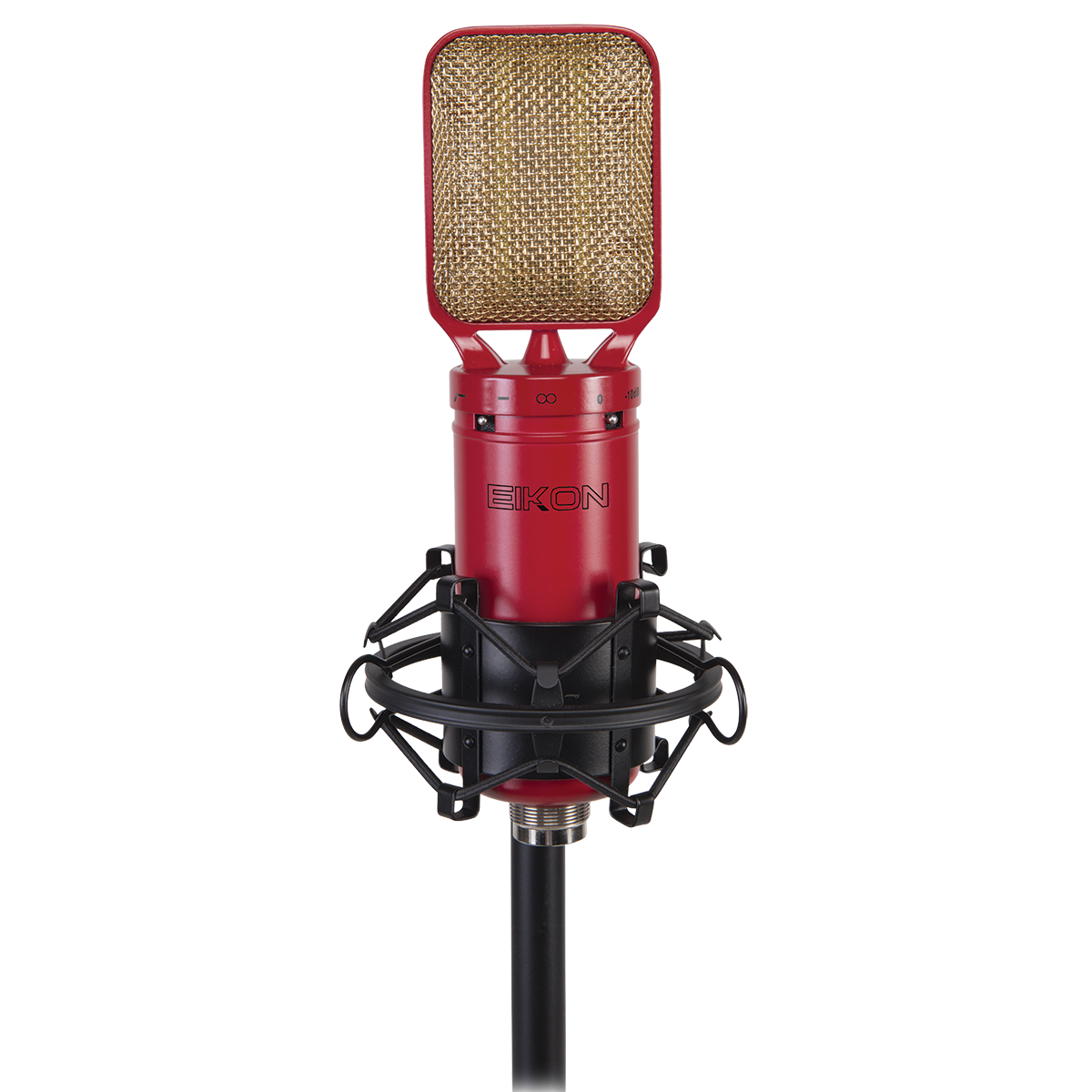 Eikon RM8 Ribbon Microphone with Shockmount, Windscreen Filter, and Aluminum Case — view 2