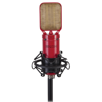 Eikon RM8 Ribbon Microphone with Shockmount, Windscreen Filter, and Aluminum Case — view 2