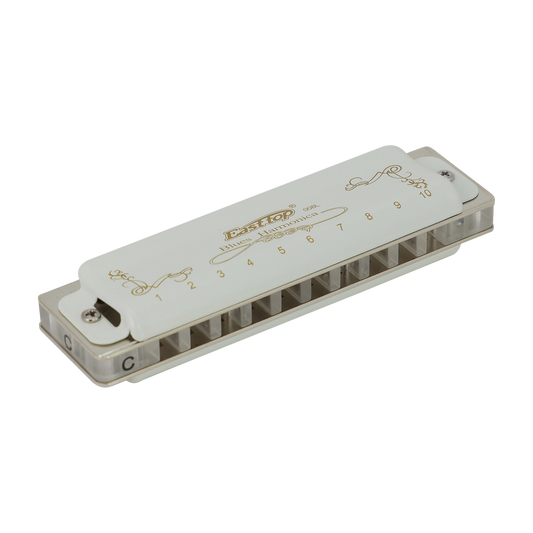 East Top 10 Hole Professional Blues Harmonica in G with Brass Cover and Acrylic Comb