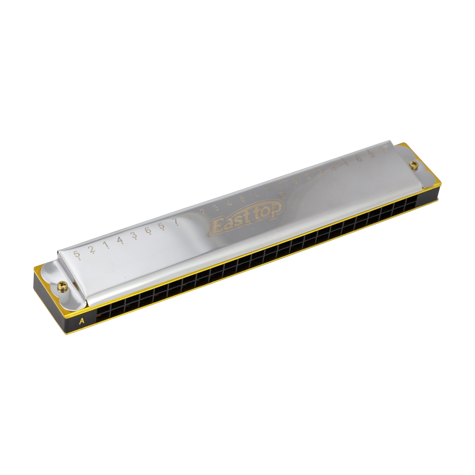 East Top 24 Hole Accent Tremolo Harmonica with Plastic Comb and Phosphor Bronze Reed