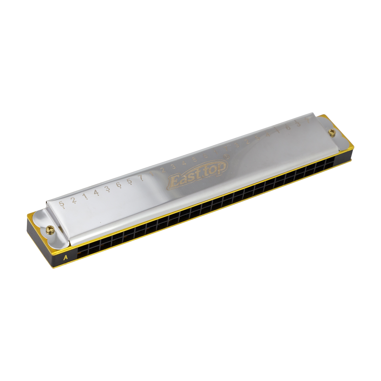 East Top 24 Hole Tremolo Harmonica D with Brass Cover and Phosphor Bronze Reed