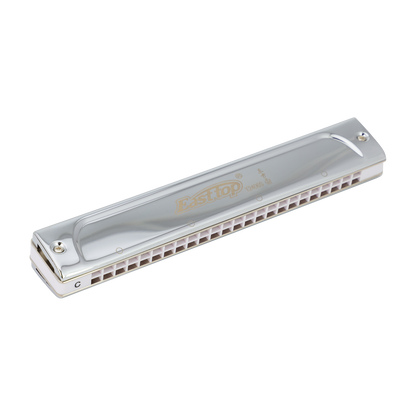 East Top 24 Hole Professional Tremolo Harmonica D with Plastic Comb and Phosphor Bronze Reed