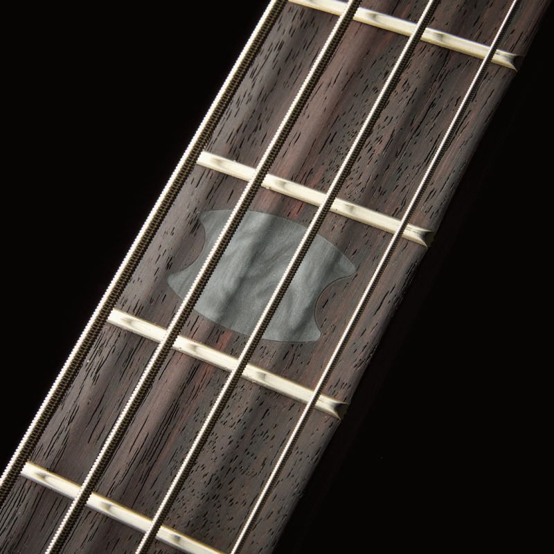 Spector Euro 4 Rex Brown Signature Bass Model — view 4