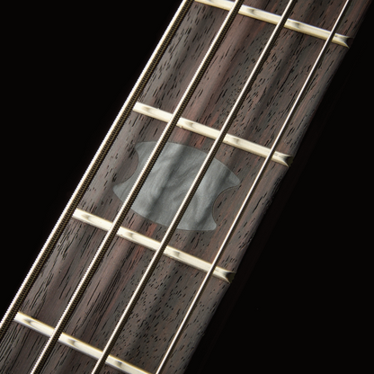 Spector Euro 4 Rex Brown Signature Bass Model — view 4
