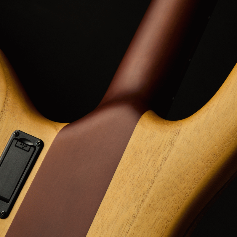 Spector Euro 4 Rex Brown Signature Bass Model — view 5