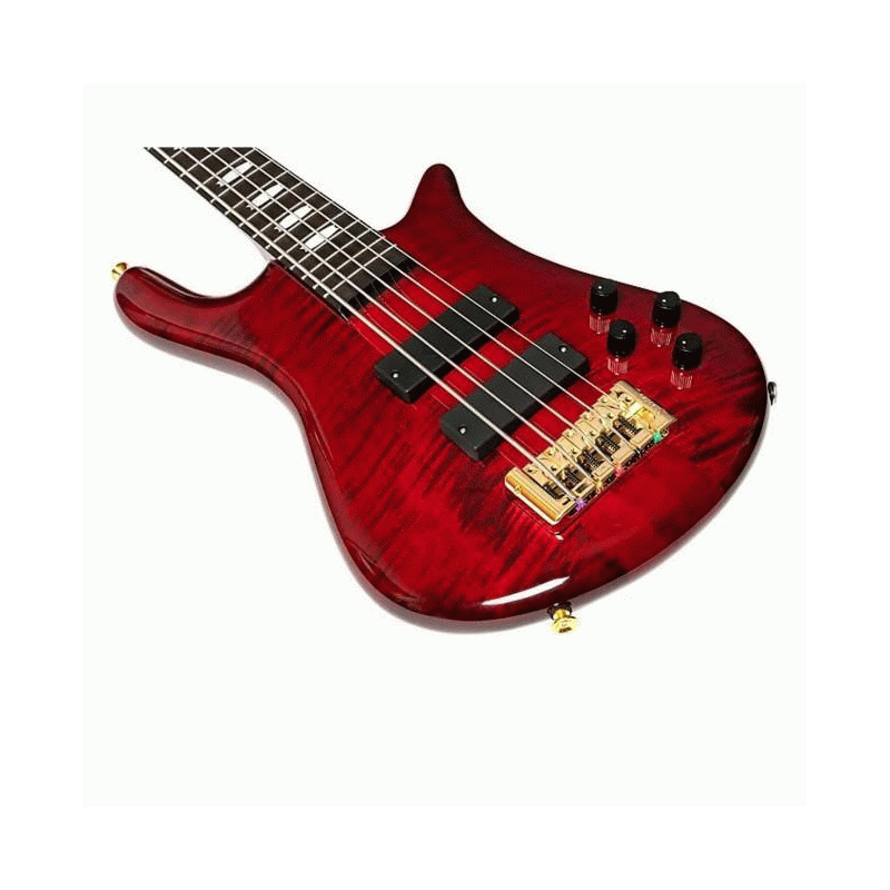Spector Euro 5 LT with Darkglass Electronics