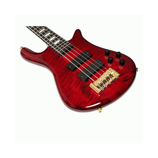 Spector Euro 5 LT with Darkglass Electronics