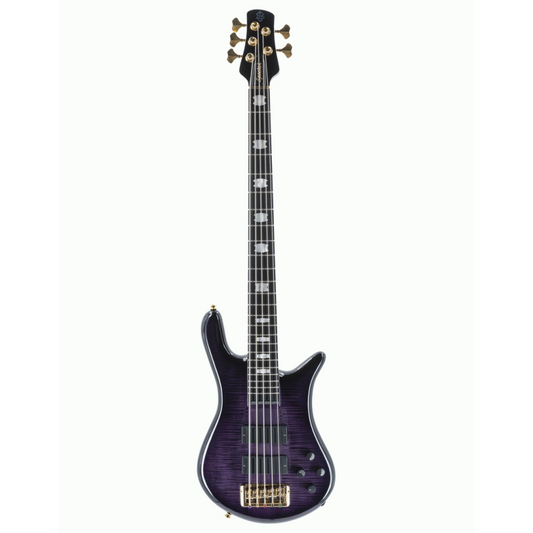 Spector Euro 5 LT with Darkglass Electronics Violet