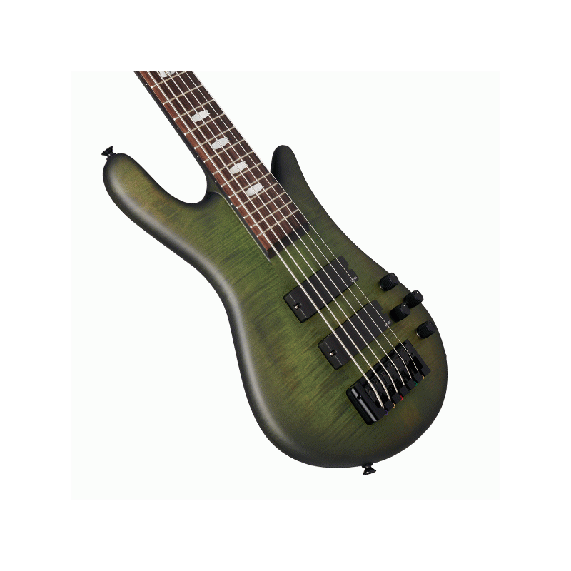 Euro 6 LX Haunted Moss Matte Electric Bass Guitar — view 2