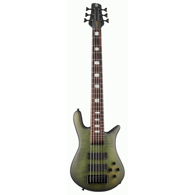 Euro 6 LX Haunted Moss Matte Electric Bass Guitar