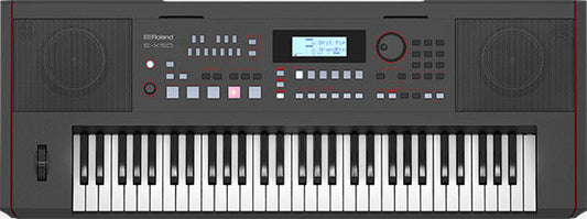 ROLAND E-X50 Arranger Keyboard - Professional Sounds, Integrated Speakers, Stylish Design, Rich Acoustic Pianos, Full-Band Sound