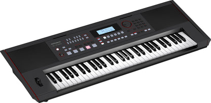 ROLAND E-X50 Arranger Keyboard - Professional Sounds, Integrated Speakers, Stylish Design, Rich Acoustic Pianos, Full-Band Sound — view 6