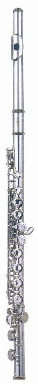 Fontaine FBW105 Flute with Case - Silver Plated 16-Hole Closed