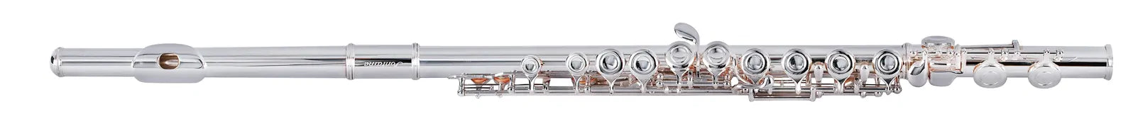 Fontaine C Flute with Split E Mechanism, Silver Plated Body, Includes Case