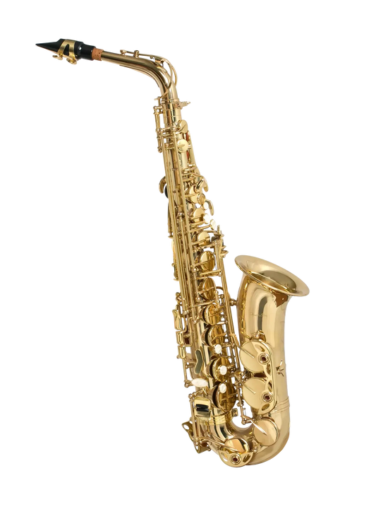 Fontaine FBW309 E Flat Alto Saxophone with Case