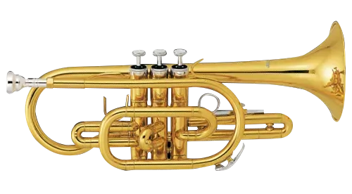 FBW465