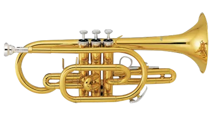 FBW465