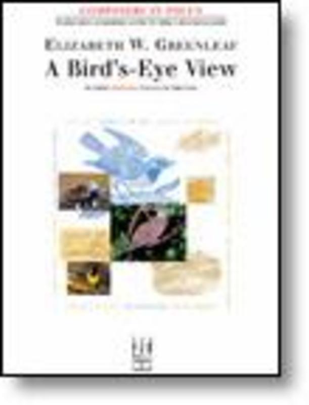 Birds Eye View (Softcover Book)