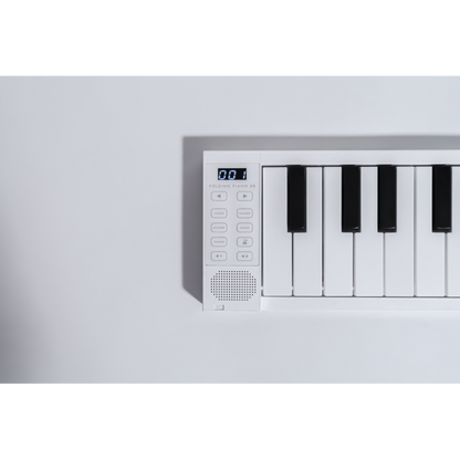 Blackstar Carry-On Folding Piano 88 Touch BK — view 2